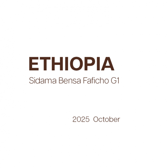 Ethiopia Sidama Bensa Faficho G1